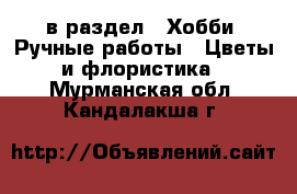  в раздел : Хобби. Ручные работы » Цветы и флористика . Мурманская обл.,Кандалакша г.